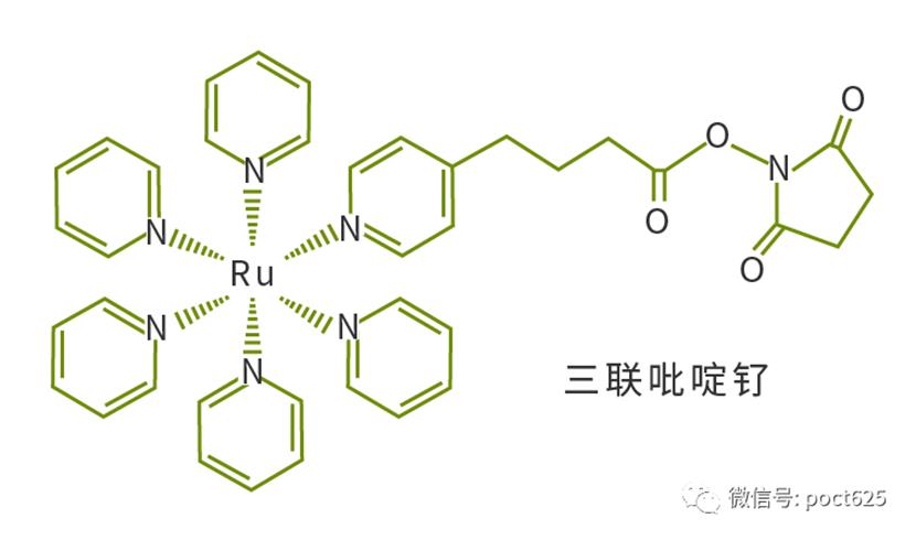 常见的化学发光试剂，是如何从基太到发光状态！